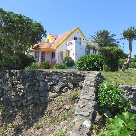 סנטה קרוז דאס פלורס Villa Cedros מראה חיצוני תמונה