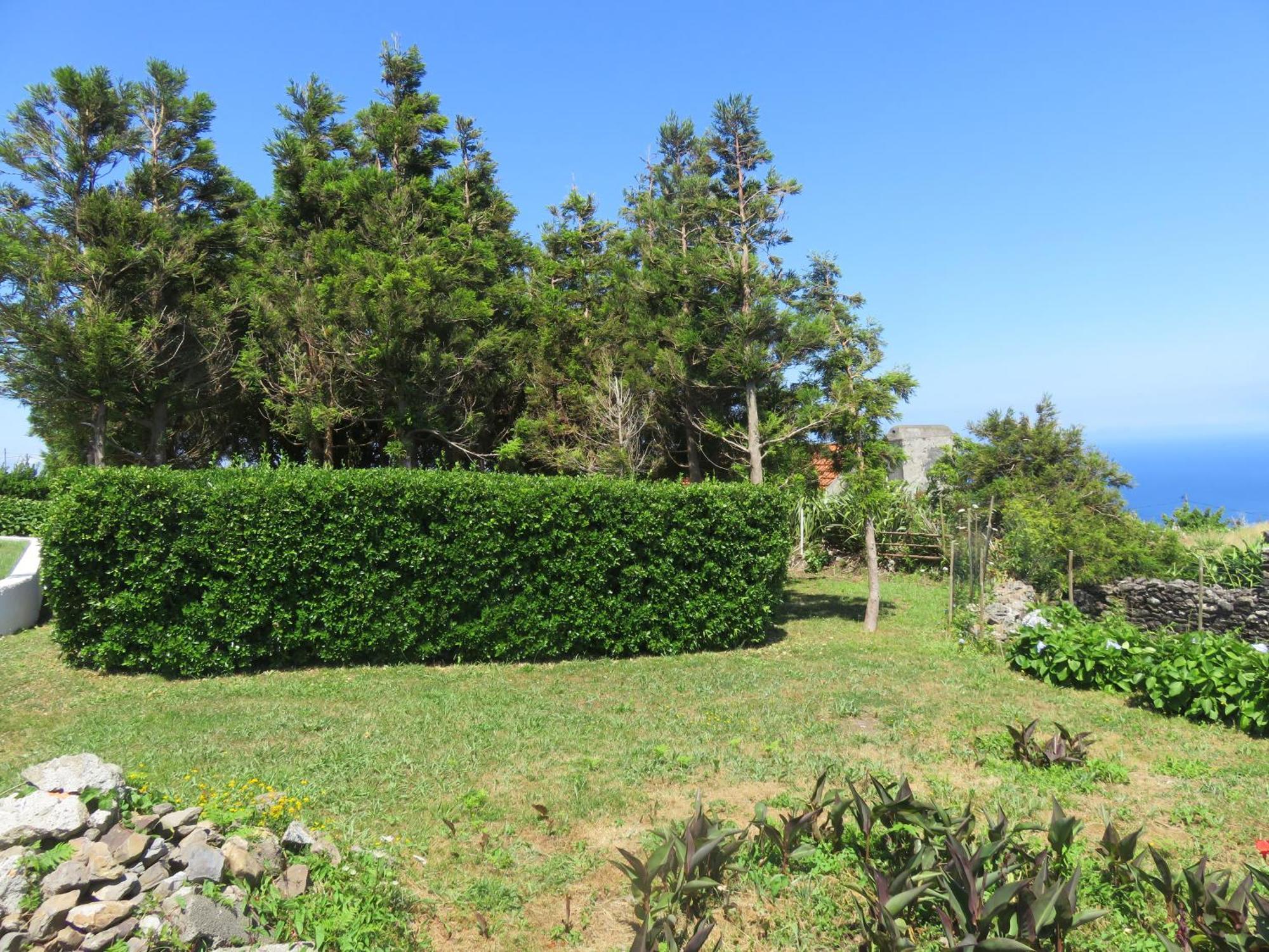 סנטה קרוז דאס פלורס Villa Cedros מראה חיצוני תמונה